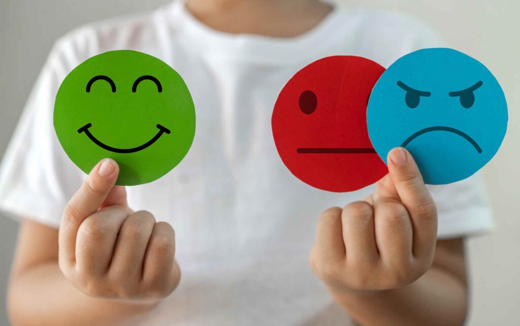 The Role of Emotions in Decision Making