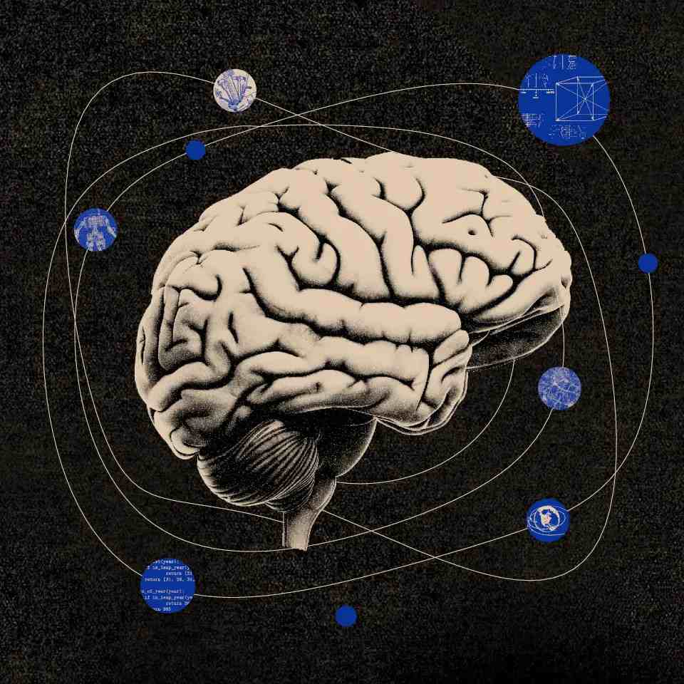 The Mind: The Realm of Thought and Perception in Brain vs Mind vs Consciousness